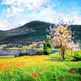 Landscapes