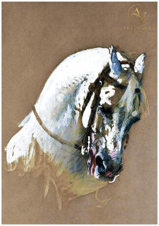 The Head of a White Horse by Isidore Pils, featuring a finely detailed white horse portrait with realistic texture and classical French artistry.